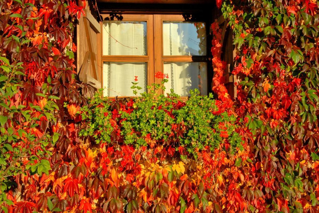 Hotel Selba D'Ansils Benasque Exteriér fotografie
